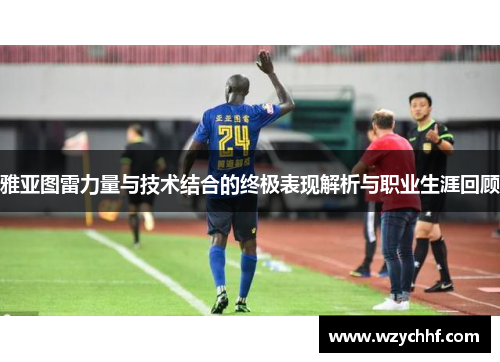 雅亚图雷力量与技术结合的终极表现解析与职业生涯回顾