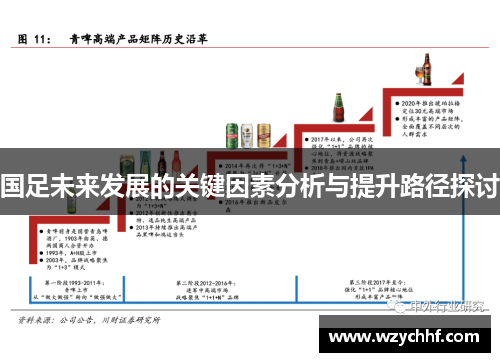 国足未来发展的关键因素分析与提升路径探讨
