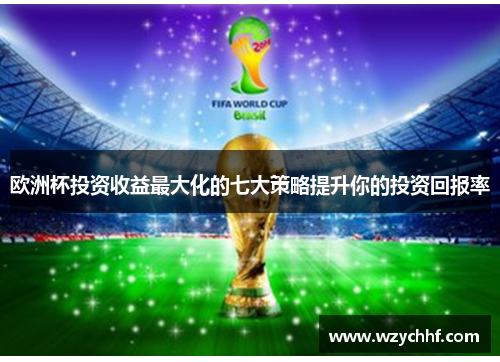 欧洲杯投资收益最大化的七大策略提升你的投资回报率