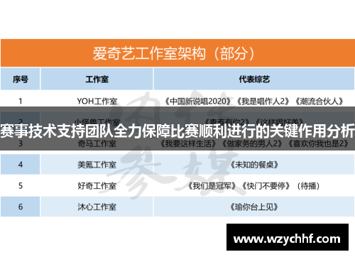 赛事技术支持团队全力保障比赛顺利进行的关键作用分析 赛事技术支持团队全力保障比赛顺利进行的关键作用分析